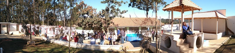 Visitas no Abrigo São Francisco de Assis (03 agosto 2019) (115)