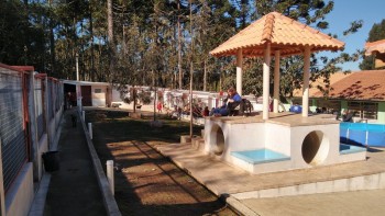 Visitas no Abrigo São Francisco de Assis (03 agosto 2019) (116)