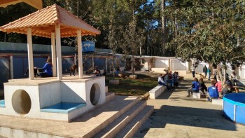 Visitas no Abrigo São Francisco de Assis (03 agosto 2019) (118)