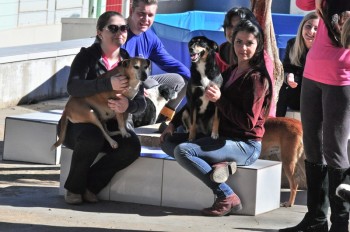 Visitas no Abrigo São Francisco de Assis (03 agosto 2019) (12)