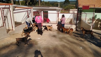 Visitas no Abrigo São Francisco de Assis (03 agosto 2019) (120)