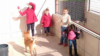 Visitas no Abrigo São Francisco de Assis (03 agosto 2019) (121)