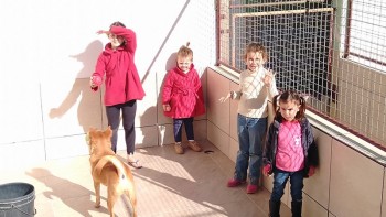 Visitas no Abrigo São Francisco de Assis (03 agosto 2019) (122)