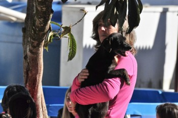 Visitas no Abrigo São Francisco de Assis (03 agosto 2019) (13)