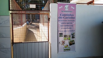 Visitas no Abrigo São Francisco de Assis (03 agosto 2019) (130)