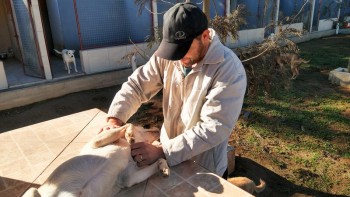 Visitas no Abrigo São Francisco de Assis (03 agosto 2019) (131)