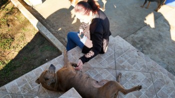 Visitas no Abrigo São Francisco de Assis (03 agosto 2019) (132)