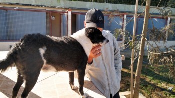 Visitas no Abrigo São Francisco de Assis (03 agosto 2019) (133)