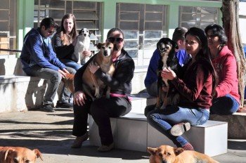 Visitas no Abrigo São Francisco de Assis (03 agosto 2019) (17)