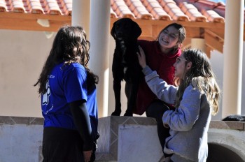Visitas no Abrigo São Francisco de Assis (03 agosto 2019) (18)