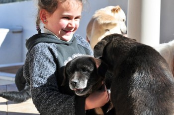 Visitas no Abrigo São Francisco de Assis (03 agosto 2019) (2)