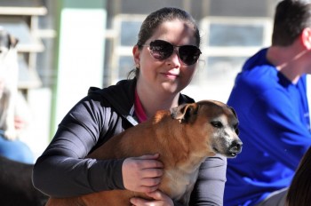 Visitas no Abrigo São Francisco de Assis (03 agosto 2019) (20)