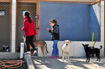 Visitas no Abrigo São Francisco de Assis (03 agosto 2019) (24)