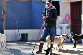 Visitas no Abrigo São Francisco de Assis (03 agosto 2019) (25)