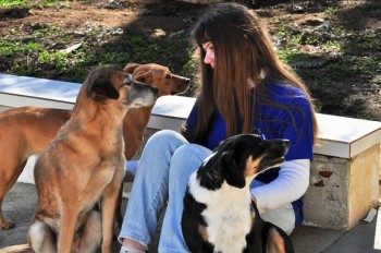 Visitas no Abrigo São Francisco de Assis (03 agosto 2019) (26)