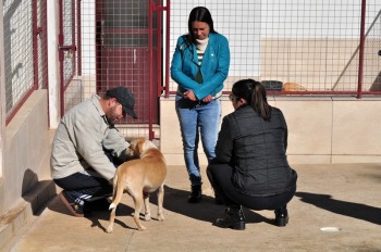 Visitas no Abrigo São Francisco de Assis (03 agosto 2019) (28)