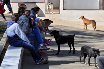 Visitas no Abrigo São Francisco de Assis (03 agosto 2019) (29)
