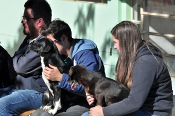 Visitas no Abrigo São Francisco de Assis (03 agosto 2019) (30)
