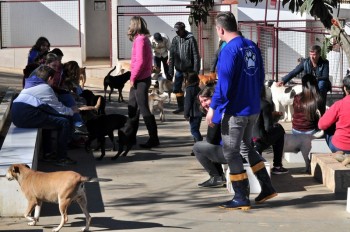 Visitas no Abrigo São Francisco de Assis (03 agosto 2019) (31)