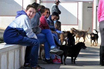 Visitas no Abrigo São Francisco de Assis (03 agosto 2019) (33)