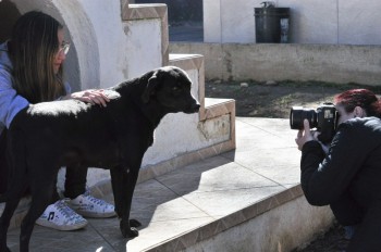 Visitas no Abrigo São Francisco de Assis (03 agosto 2019) (34)
