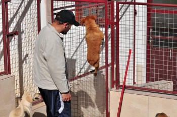 Visitas no Abrigo São Francisco de Assis (03 agosto 2019) (35)