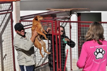 Visitas no Abrigo São Francisco de Assis (03 agosto 2019) (38)