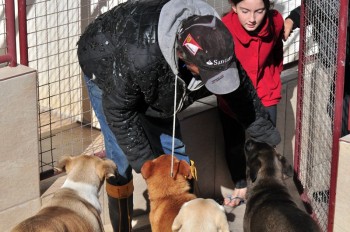 Visitas no Abrigo São Francisco de Assis (03 agosto 2019) (39)