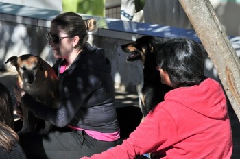 Visitas no Abrigo São Francisco de Assis (03 agosto 2019) (4)