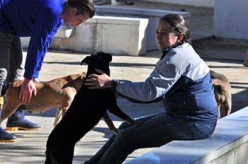 Visitas no Abrigo São Francisco de Assis (03 agosto 2019) (43)