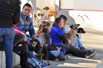 Visitas no Abrigo São Francisco de Assis (03 agosto 2019) (46)