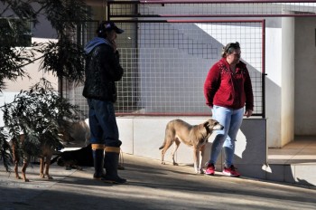 Visitas no Abrigo São Francisco de Assis (03 agosto 2019) (49)