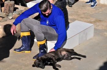 Visitas no Abrigo São Francisco de Assis (03 agosto 2019) (50)