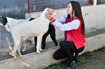 Visitas no Abrigo São Francisco de Assis (03 agosto 2019) (51)