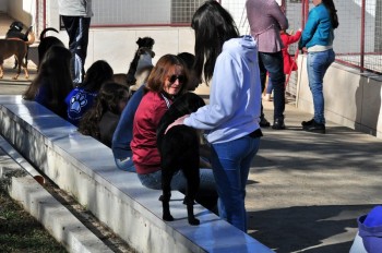 Visitas no Abrigo São Francisco de Assis (03 agosto 2019) (52)