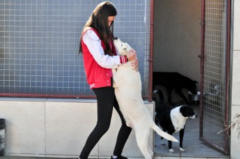 Visitas no Abrigo São Francisco de Assis (03 agosto 2019) (53)