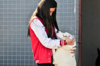 Visitas no Abrigo São Francisco de Assis (03 agosto 2019) (54)