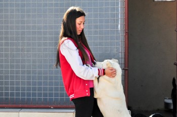 Visitas no Abrigo São Francisco de Assis (03 agosto 2019) (55)