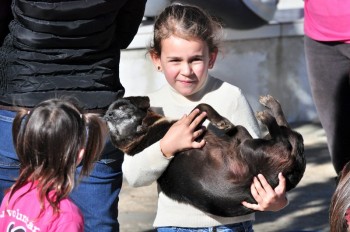 Visitas no Abrigo São Francisco de Assis (03 agosto 2019) (56)