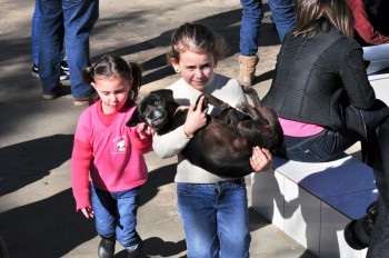 Visitas no Abrigo São Francisco de Assis (03 agosto 2019) (57)