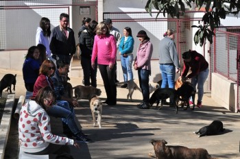 Visitas no Abrigo São Francisco de Assis (03 agosto 2019) (6)