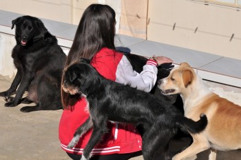 Visitas no Abrigo São Francisco de Assis (03 agosto 2019) (61)