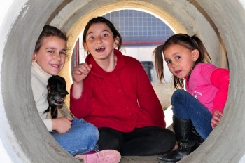 Visitas no Abrigo São Francisco de Assis (03 agosto 2019) (64)