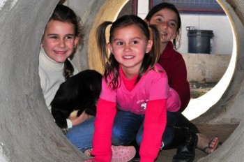 Visitas no Abrigo São Francisco de Assis (03 agosto 2019) (65)