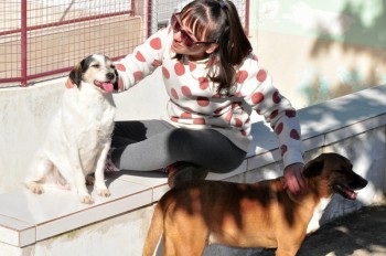 Visitas no Abrigo São Francisco de Assis (03 agosto 2019) (66)