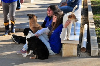Visitas no Abrigo São Francisco de Assis (03 agosto 2019) (67)