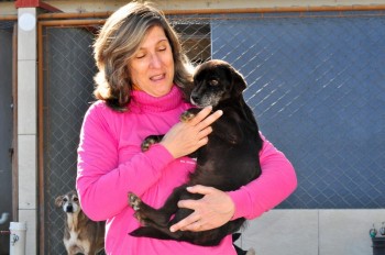 Visitas no Abrigo São Francisco de Assis (03 agosto 2019) (71)