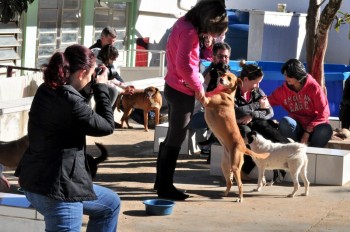 Visitas no Abrigo São Francisco de Assis (03 agosto 2019) (73)