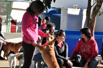 Visitas no Abrigo São Francisco de Assis (03 agosto 2019) (74)