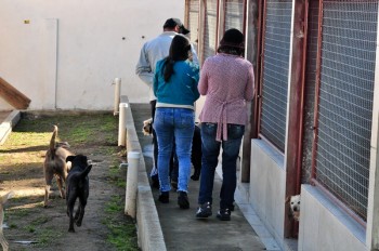 Visitas no Abrigo São Francisco de Assis (03 agosto 2019) (75)